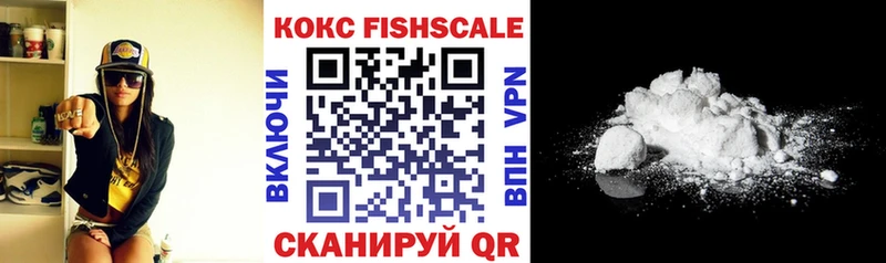 Купить где  Северодвинск  COCAIN Fish Scale 