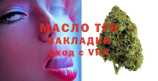 прущие грибы Корсаков
