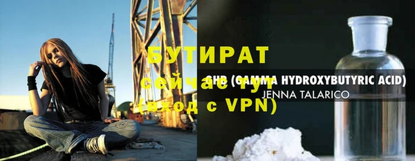 прущие грибы Корсаков