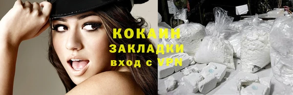 прущие грибы Корсаков
