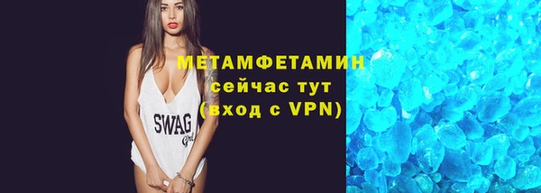 прущие грибы Корсаков