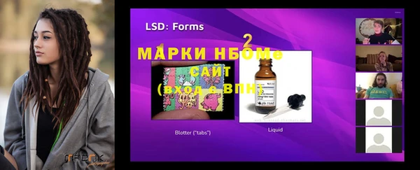 прущие грибы Корсаков