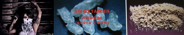 прущие грибы Корсаков
