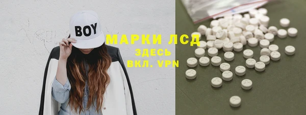 прущие грибы Корсаков