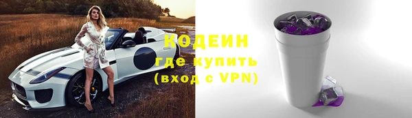 стаф Краснослободск