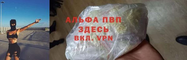 прущие грибы Корсаков