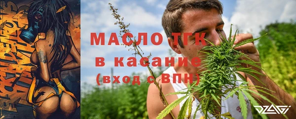 прущие грибы Корсаков