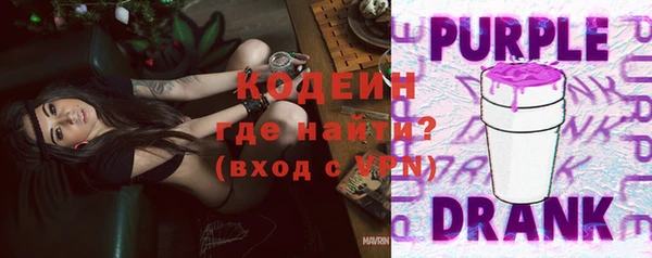 прущие грибы Корсаков