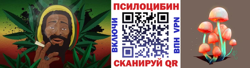 Купить закладки  Северодвинск  Галлюциногенные грибы ЛСД 