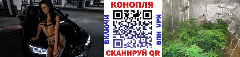 Бошки Шишки тримм Северодвинск